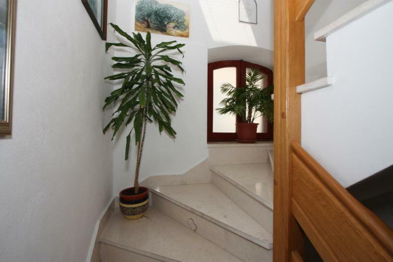 Marjan Apartment & Rooms Split Exterior foto